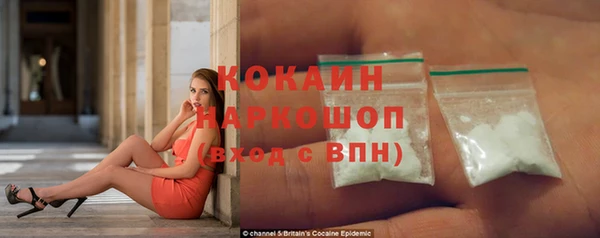 ешки Бородино