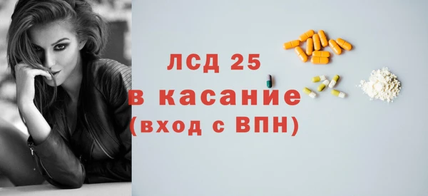 ешки Бородино