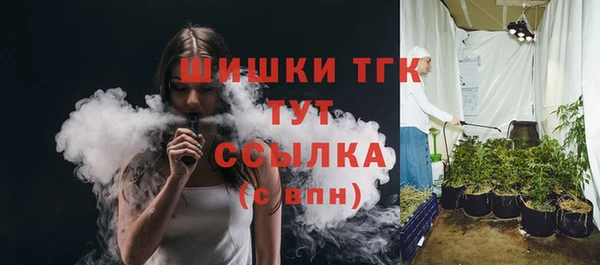 ешки Бородино