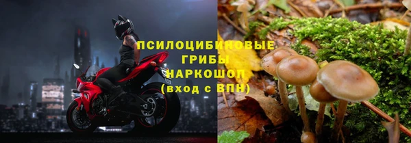 ешки Бородино