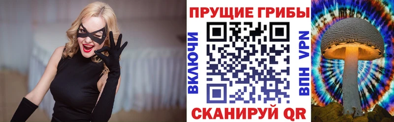 Галлюциногенные грибы MAGIC MUSHROOMS ссылка на мегу зеркало мориарти наркотические препараты Вельск